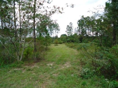 Lot 32 Old Coffee Road, Morven, GA 31638