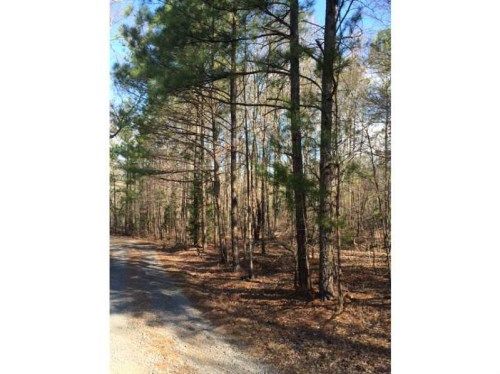 0 Shinall Gaines Road, Cartersville, GA 30121
