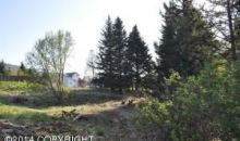 4982 Clover Lane Homer, AK 99603