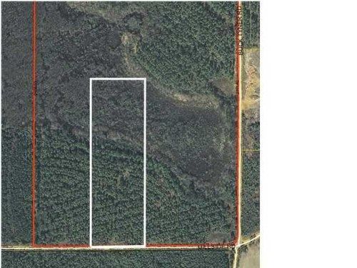 TBD(LOT 2) MILLSIDE RD, Laurel Hill, FL 32567