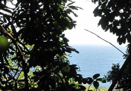 34-1210 HAWAII BELT RD, Papaaloa, HI 96780