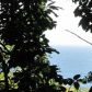 34-1210 HAWAII BELT RD, Papaaloa, HI 96780 ID:8339022
