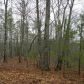 17 Turtle Ridge, Ellijay, GA 30540 ID:6865084