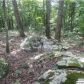 330 WOLF PEN RIDGE RD, Pell City, AL 35128 ID:8185484