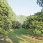 34-1439 HAWAII BELT RD, Papaaloa, HI 96780 ID:8339031