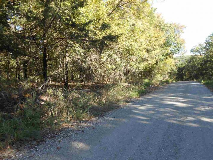 Lot 58 Dry Run Road, Oakland, AR 72661