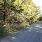 Lot 58 Dry Run Road, Oakland, AR 72661 ID:1160999