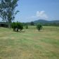 1190 Highway 240 W, Caddo Gap, AR 71935 ID:2653055