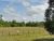 U S Highway 17 Pierson, FL 32180