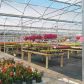 368 Wilber Rd, Tawas City, MI 48763 ID:118127