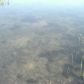 363 Rainbow Dr, Hawthorne, FL 32640 ID:4031344