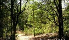 00 NW 1st Avenue Branford, FL 32008