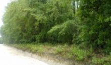 256th Street Branford, FL 32008