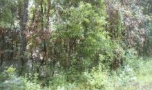 39th Drive Branford, FL 32008