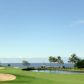 81-6651 AUAMO PL, Kealakekua, HI 96750 ID:8340328