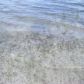 238 Cue Lake Drive, Hawthorne, FL 32640 ID:4032044