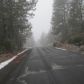 1985 Nw Rimrock Rd, Bend, OR 97701 ID:8503739