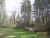 19444 Abbey Ln Bucoda, WA 98530