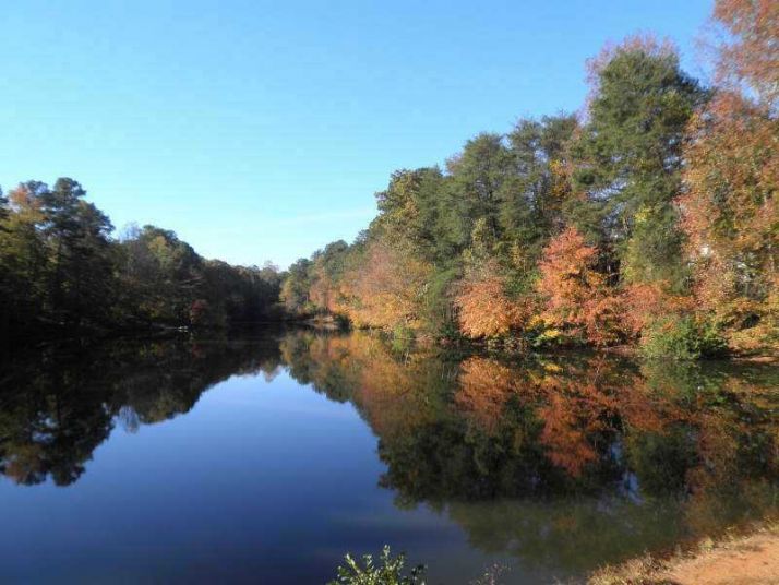 1679 Barn Swallow Place, Marietta, GA 30062