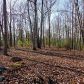 16 Macedonia Road, White, GA 30184 ID:8401912