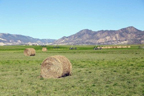 1533 County Road 233, Rifle, CO 81650
