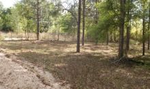 Hwy 90 134th Pl Wellborn, FL 32094