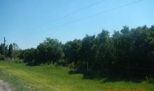 Lot 3 Ganey Ln Zolfo Springs, FL 33890