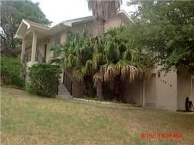 Mistletoe, Manchaca, TX 78652