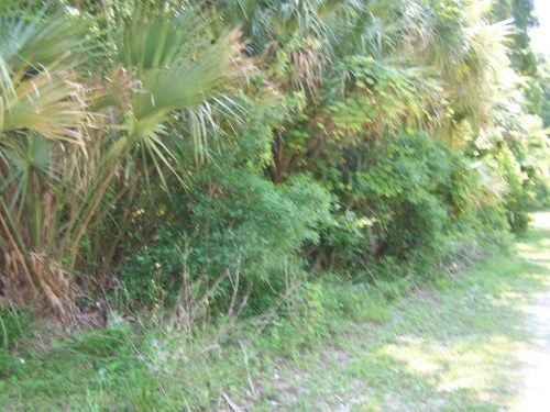 110 S Fern St., San Mateo, FL 32187