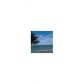 2030 S OCEAN DR # 1401, Hallandale, FL 33009 ID:8153991