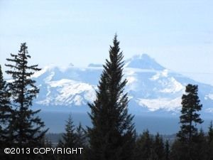 L14 Kay, Homer, AK 99603