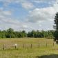 U S Highway 17, Pierson, FL 32180 ID:7896061