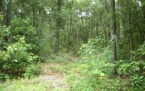 288  street, Branford, FL 32008