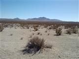 Bonanza Trail, APN 0470-261-01, Oro Grande, CA 92368