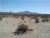 Bonanza Trail, APN 0470-261-01 Oro Grande, CA 92368
