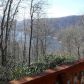 741 Holly Ridge Rd, Topton, NC 28781 ID:218019