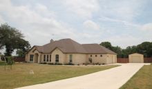 133 Vintage Ranch Circle La Vernia, TX 78121