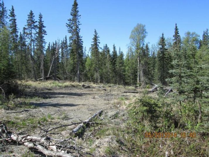 53590 Izigan, Nikiski, AK 99635