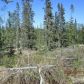 53590 Izigan, Nikiski, AK 99635 ID:8558620