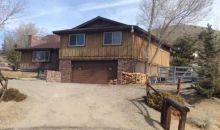 363 Linnet Way Washoe Valley, NV 89704