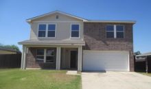 2511 Palo Blanco St Hidalgo, TX 78557