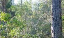 21St Ave Apalachicola Apalachicola, FL 32320