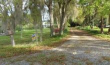 158Th Weirsdale, FL 32195