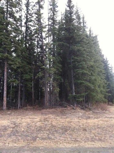 2818 Chief Alexander Drive, Fairbanks, AK 99709