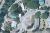 Durgan Flat Road Downieville, CA 95936