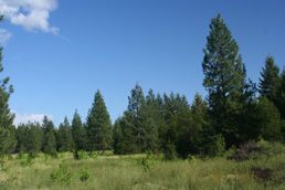 11 Cardinal, Spirit Lake, ID 83869