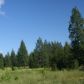 11 Cardinal, Spirit Lake, ID 83869 ID:8546722