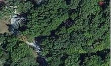 Timber Camargo, IL 61919