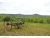 842 FAIRYSTONE PARK HWY Stuart, VA 24171