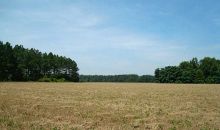 0 Heards Bridge Road E Davisboro, GA 31018